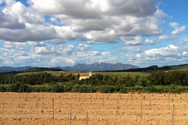 best cava tour barcelona